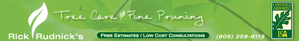 Rick Rudnick's Tree Care and Fine Pruning